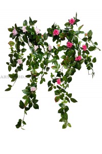 Троянда плетюча